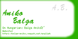 aniko balga business card